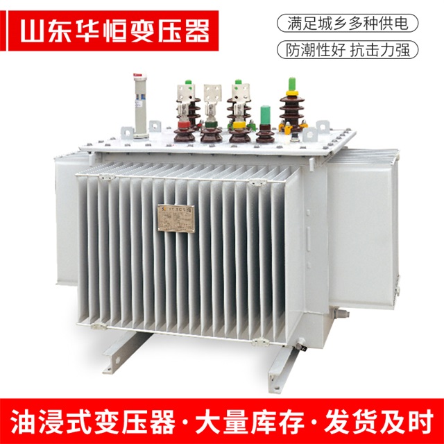 S13-10000/35连南连南连南电力变压器